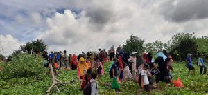 Kumandang Banten Komisariat UIN SMH Banten Tanam Pohon Mangrove Di Pantai Selatan Pandeglang