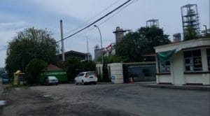 Disnaker Cilegon Tak Tahu Ada Rekrutmen Karyawan PT Selago Makmur Plantation