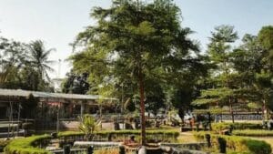Taman Cicido Cocok Untuk Rekreasi Bersama Keluarga