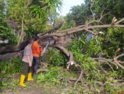 BPBD Kota Cilegon Reaksi Cepat Aduan Masyarakat, Warga Apresiasi