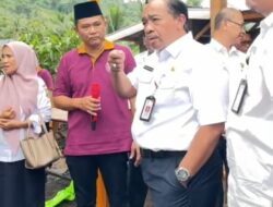 Haji Sri Nuryadi Patut Diapresiasi, Panen Melon Golden Hanya Luas Lahan 1400 M2 Tembus 3 Ton