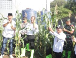 Kelompok Tani Kelapa Baris Cilegon Panen Raya Jagung Dan Melon Yang kedua, Haji Sri Nuryadi : Dukung Ketahanan Pangan