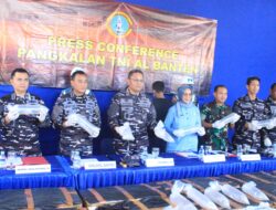 Pangkalan TNI AL Banten Gagalkan Penyelundupan 199.800 Benih Lobster, Selamatkan Kerugian Negara Hampir 30 Milliar