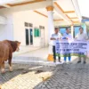 Momentum Idul Adha 1447 H PT Dok & Perkapalan Gandasari Indonesia Serahkan Sapi Qurban, Bentuk Nyata.