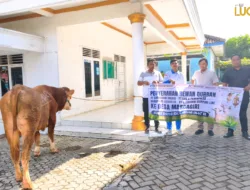 Momentum Idul Adha 1447 H PT Dok & Perkapalan Gandasari Indonesia Serahkan Sapi Qurban, Bentuk Nyata.