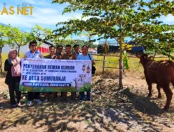 Hari Raya Idul Adha 1447 H PT Gandasari Perkasa Mandiri Sebagai Wujud Nyata Distribusikan Hewan Qurban.