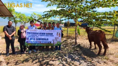 Hari Raya Idul Adha 1447 H PT Gandasari Perkasa Mandiri Sebagai Wujud Nyata Distribusikan Hewan Qurban.