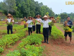 Rumah Tahanan Kelas I Tangerang Gelar Panen Raya Bersama Warga Binaan, Wujud Nyata Ketahanan Pangan.