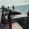 Diduga Puluhan Tahun Breakwater Pelabuhan Penyebrangan Merak-Bakauheni Dijadikan Objek Bisnis.